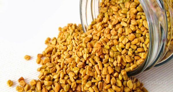 मेथीदाना (Fenugreek Seeds) – आरोग्य का खजाना